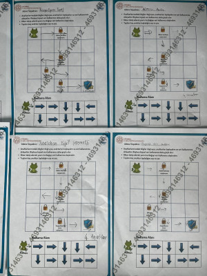 VERİ KALKANI ALGORİTMA ETKİNLİĞİ